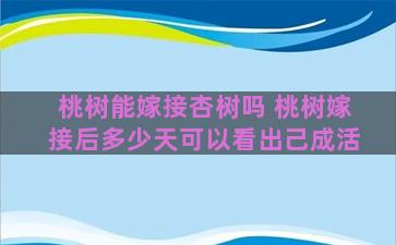 桃树能嫁接杏树吗 桃树嫁接后多少天可以看出己成活